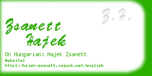 zsanett hajek business card